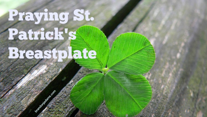 2545331599_0ec4f3ff5d_o